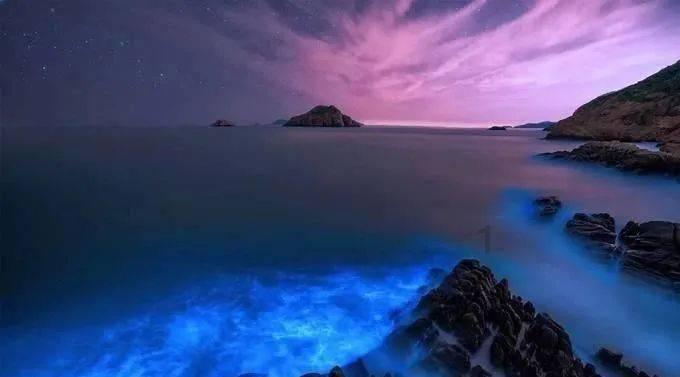 拯救精灵的土地10